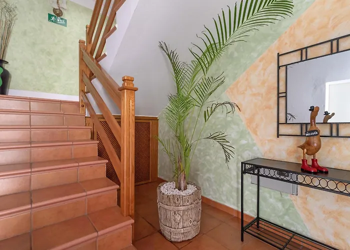 One Life One Dream Gran Canaria *